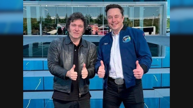 Elon Musk anunció su renuncia al gobierno de Donald Trump