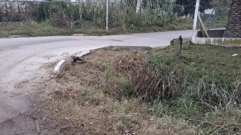 Córdoba: murió una mujer que fue encontrada en un desagüe con los signos vitales débiles
