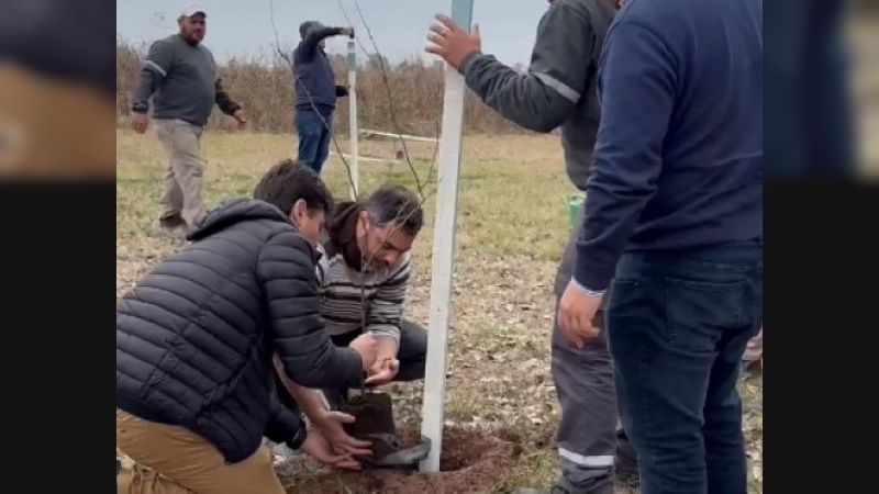 Brinkmann sigue forestando el acceso sur de la ciudad