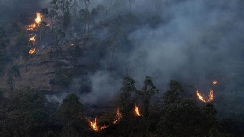 España: el gobierno dará ayuda a las zonas afectadas por incendios forestales