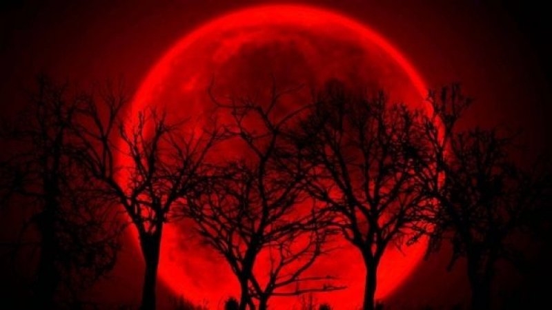 Luna llena de Sangre: un espectáculo que asombrará al mundo el 7 de septiembre