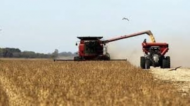El campo declaró ventas por US$4.180 millones tras la eliminación de retenciones
