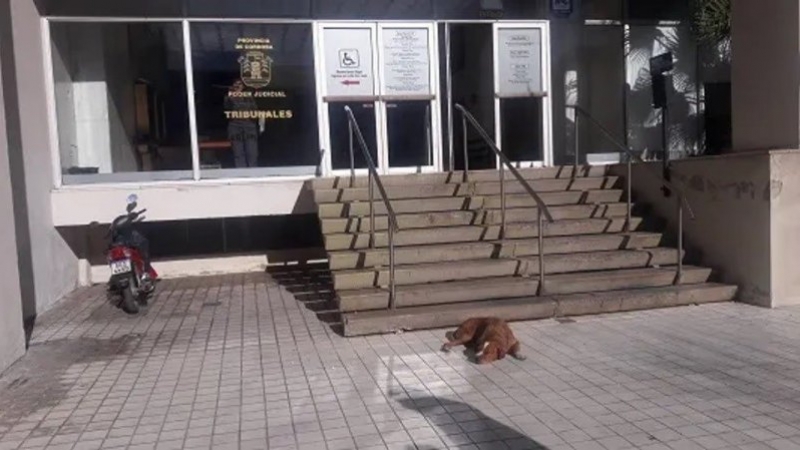 Abuso sexual: sentencian a 8 a&ntilde;os de prisi&oacute;n a l&iacute;der religioso