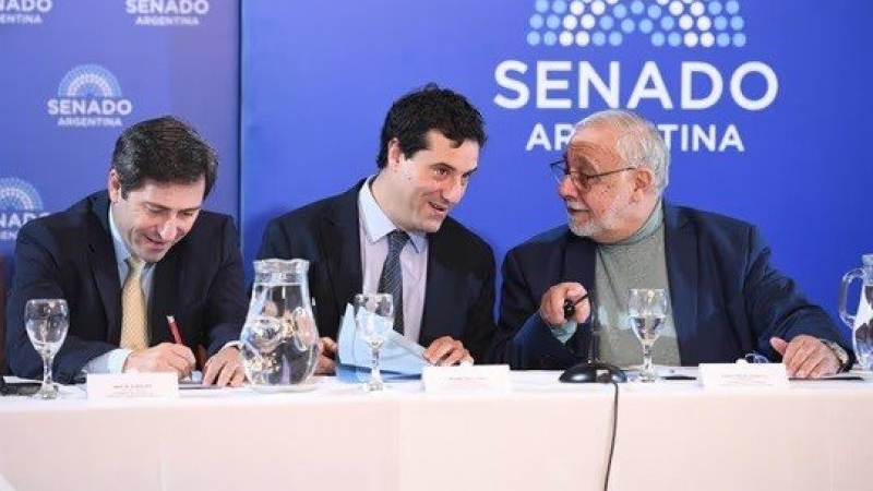 El Senado har&aacute; dos audiencias p&uacute;blicas para evaluar a 25 candidatos a la Justicia, uno vinculado al "Chiqui&ldquo; Tapia