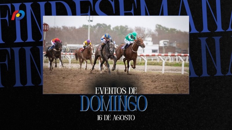 &iquest;Qu&eacute; actividades tendr&aacute;n lugar en la ciudad este domingo 16 de agosto?
