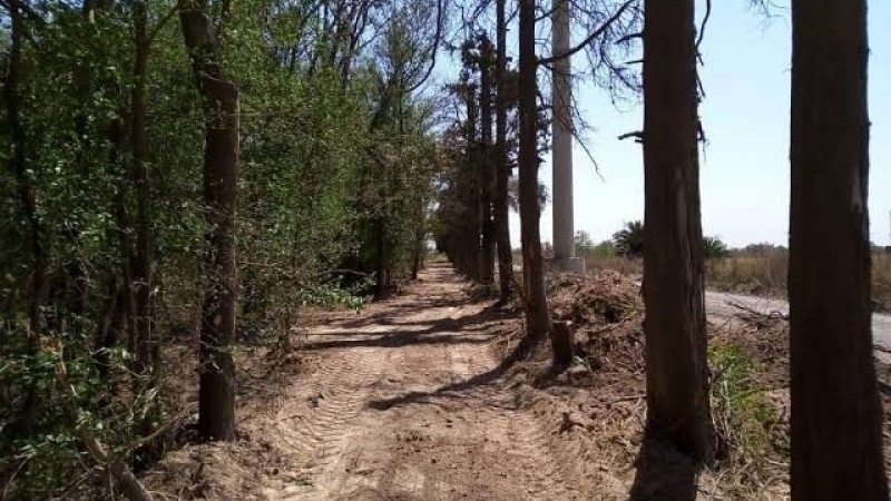 Fatal accidente durante una pr&aacute;ctica de motocross en el Circuito del Bosque
