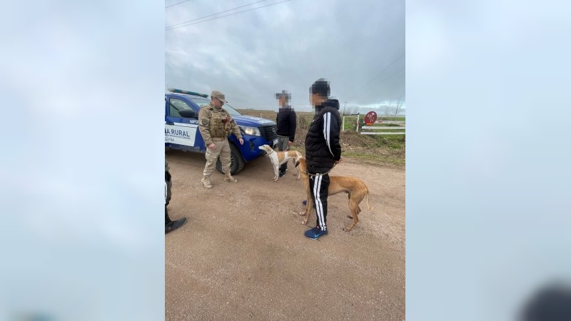 Aprehendieron a tres hombres por infringir la Ley de Protecci&oacute;n de Fauna en Las Varillas
