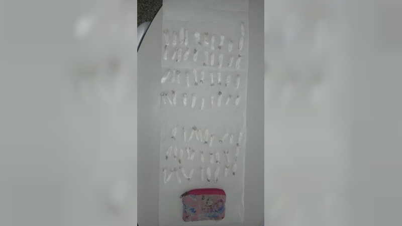 Un nene de dos a&ntilde;os llev&oacute; el monedero de su mam&aacute; al jard&iacute;n: ten&iacute;a 71 dosis de coca&iacute;na