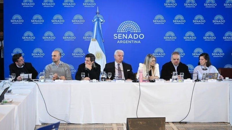 Senado: LLA quiere emitir dictamen del S&uacute;per RIGI, pero los aliados reclaman cambios para dar su apoyo