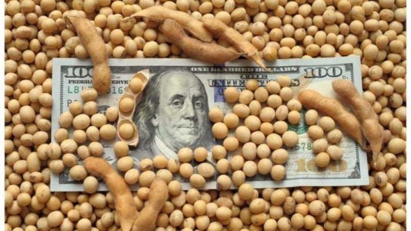 La soja lleg&oacute; a su precio m&aacute;ximo en la era Milei