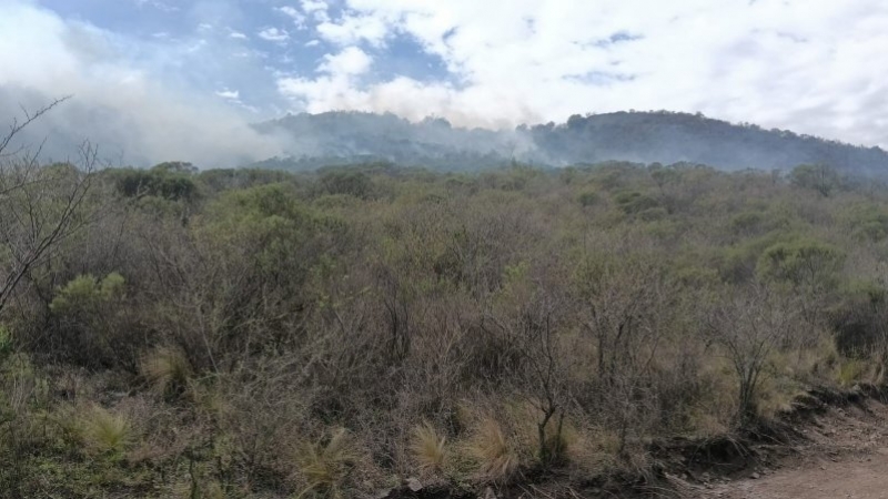 Incendios: amplio operativo a&eacute;reo y terrestre para combatir un foco en La Calera