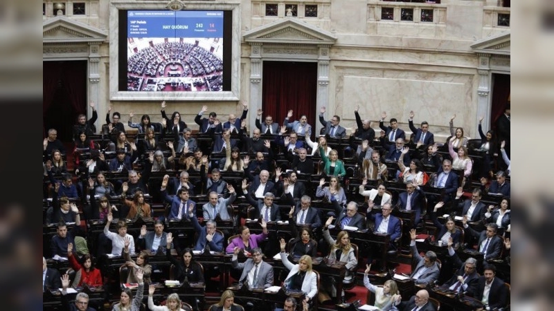 Diputados: la oposici&oacute;n logr&oacute; aprobar sin sobresaltos su plan de trabajo sobre emergencia en Discapacidad y morosidad