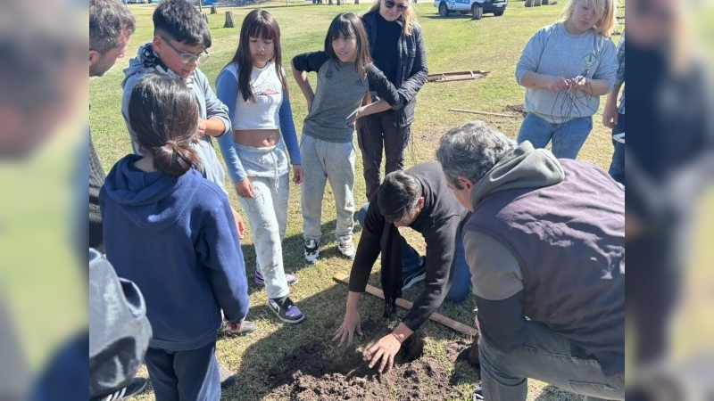Se plantaron 50 ejemplares nuevos en el Polideportivo Municipal