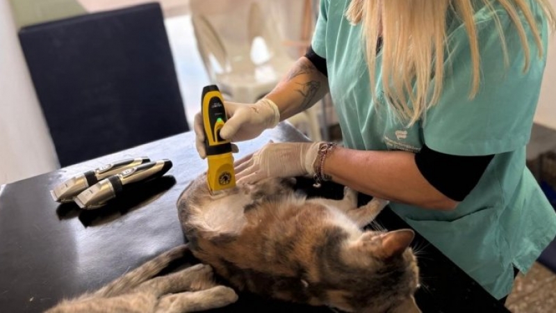 Jornada de Castraci&oacute;n: m&aacute;s acciones para el cuidado y bienestar animal