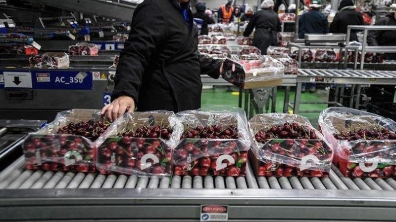 Chile destaca entrada en vigor de acuerdo que facilita exportación de fruta fresca a China