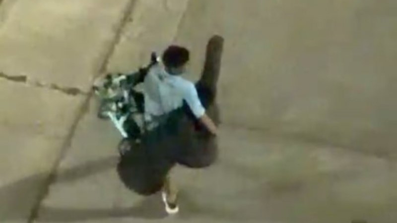 Reventaron un auto, robaron hasta el triciclo de un nene y grabaron todo.