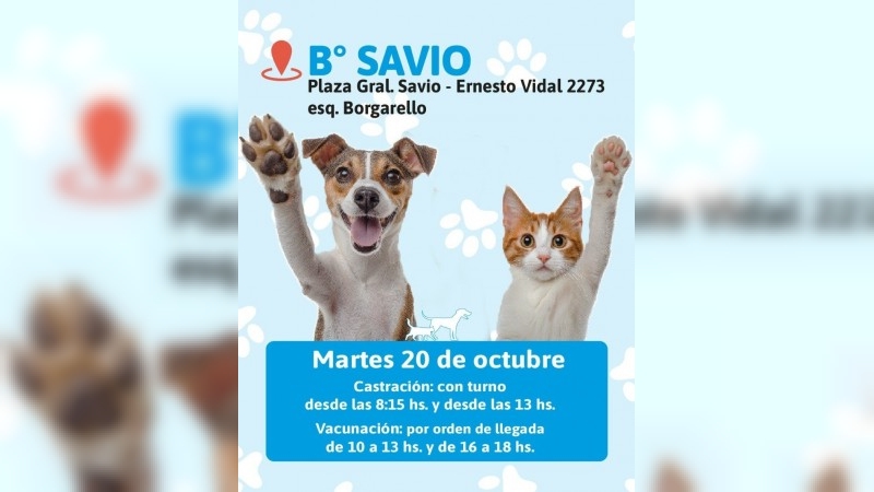 Nueva jornada de vacunaci&oacute;n y castraci&oacute;n gratuita para perros y gatos en barrio Savio